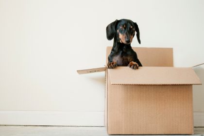 Things to know about moving insurance