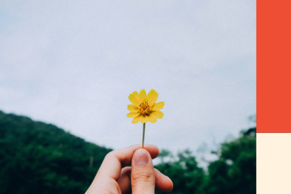 A hand holds a flower out infront of a field. Image for a blog post on 4 ways to manage debt